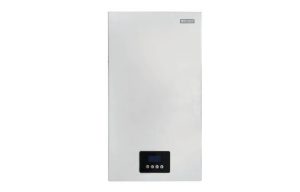 Газовый котел Leberg Flamme 24 ASF